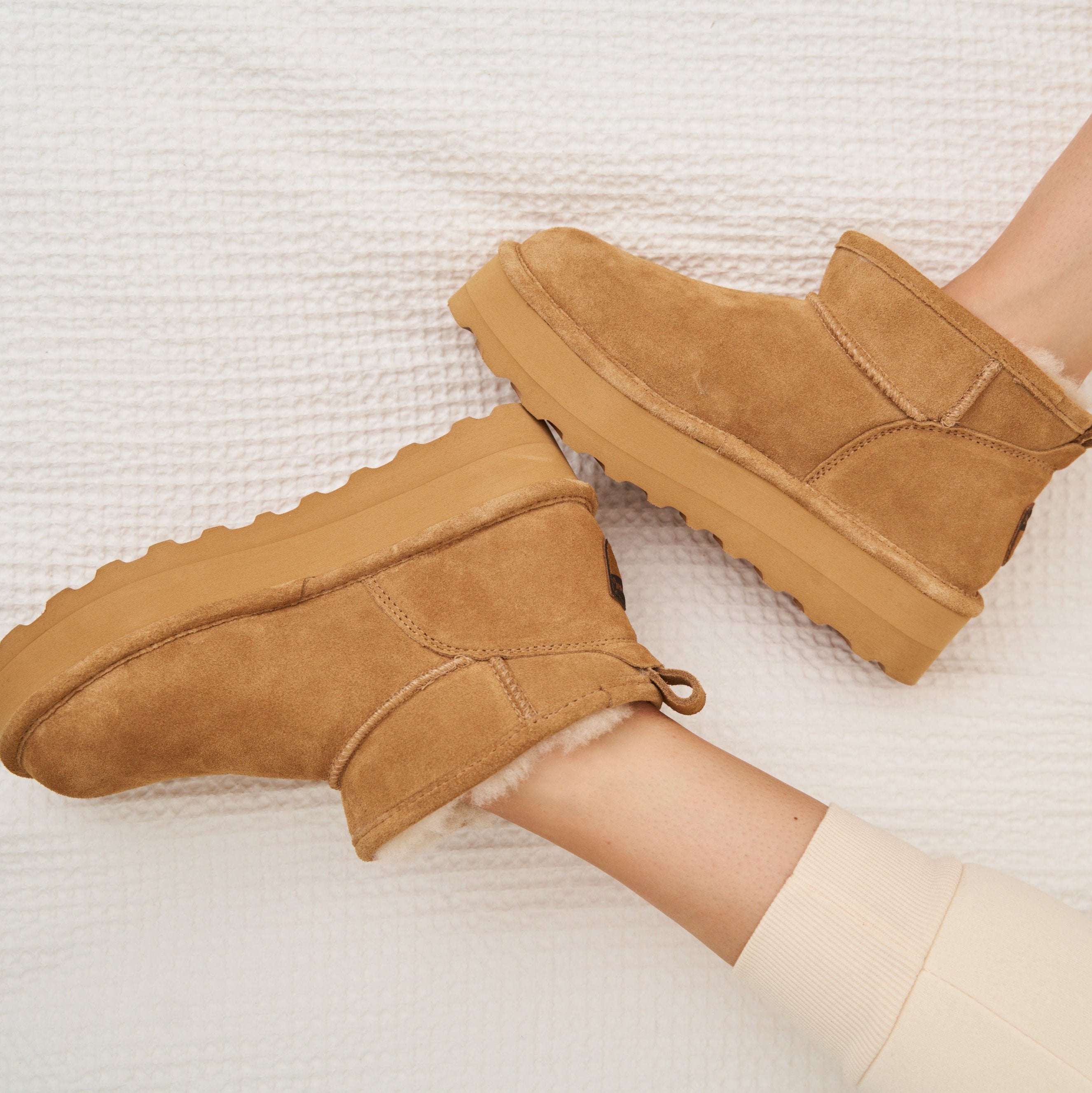 Retro Shorty Iced Coffee Solid – BearPaw Europe