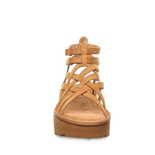 PROMINENCE BROWN