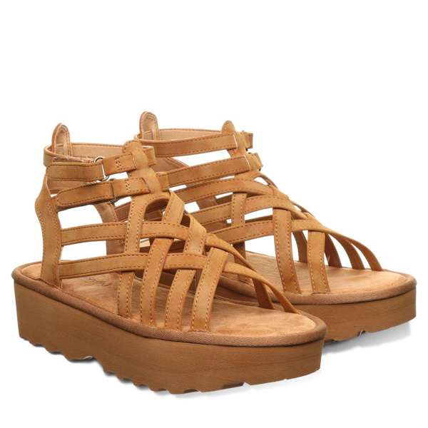 PROMINENCE BROWN