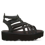 PROMINENCE BLACK