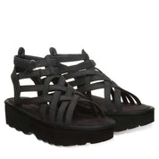 PROMINENCE BLACK