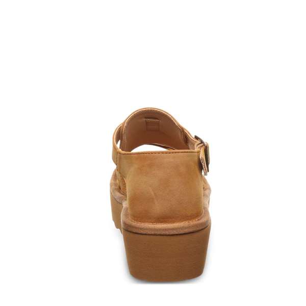 PINNACLE BROWN