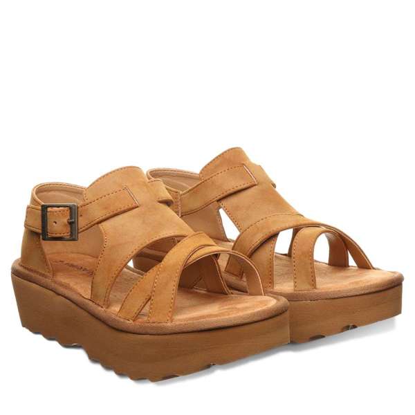 PINNACLE BROWN