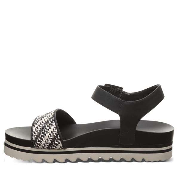 ORION BLACK / WHITE