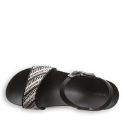 ORION BLACK / WHITE
